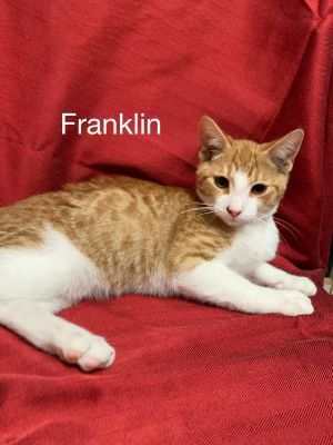 . Franklin .