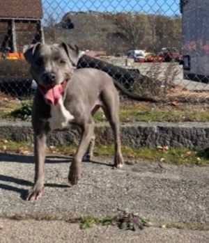 . Skyy - Take My Lead Dog .