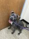 . Skyy - Take My Lead Dog .