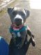 . Skyy - Take My Lead Dog .