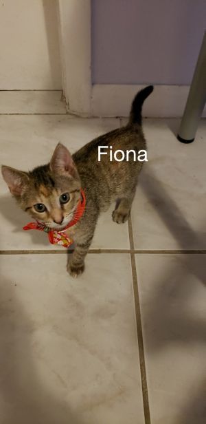 . Fiona .