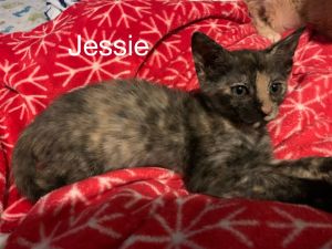. Jessie .