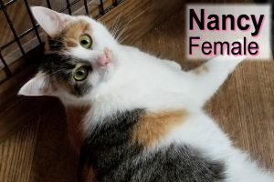 . Nancy .
