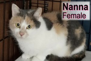 . Nanna .