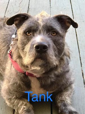 . TANK .