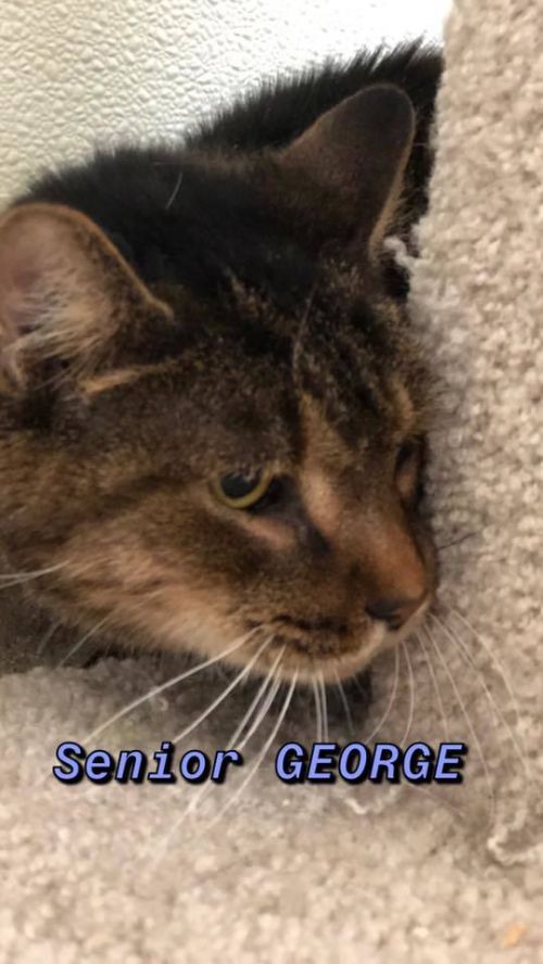 . George - Senior .