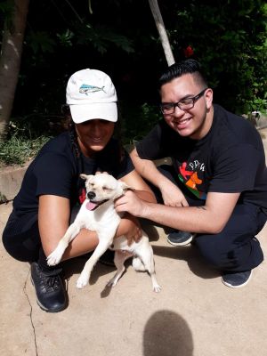 . Salt PR Doxie mix .