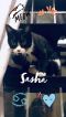 . Sasha .