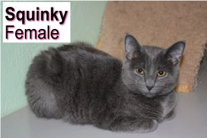 . Squinky .