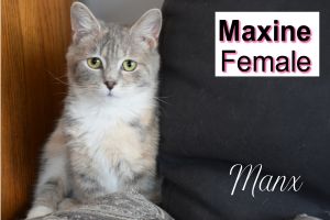 . Maxine .