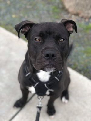 . Max .