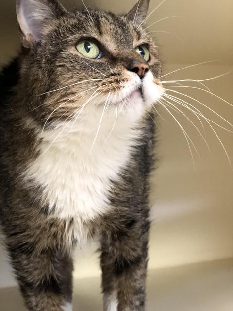 . Mary - update! adopted! .
