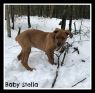 . Baby Stella .