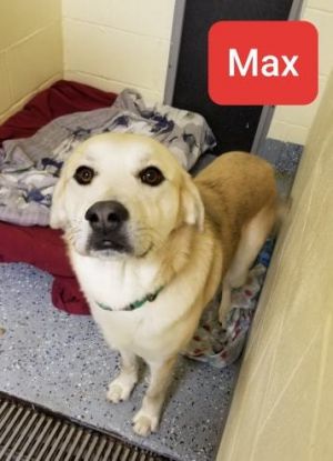 . Max .