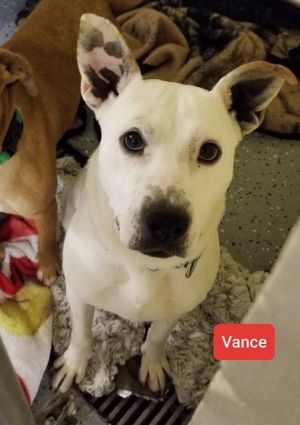 . Vance .