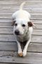 . *Adopting Pending* Jonah .