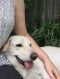 . *Adopting Pending* Jonah .
