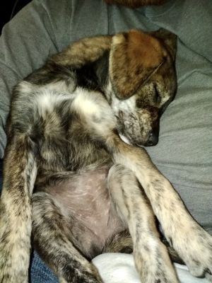 . Luna .
