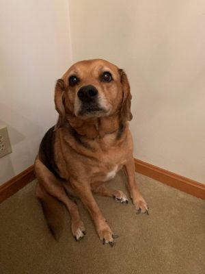 . Max .