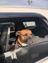 . Tyson .