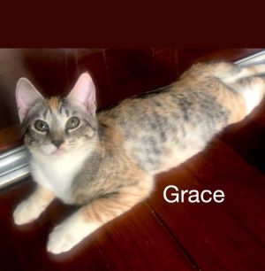 . Grace .