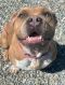 . Ms. Magoo .