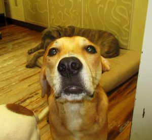 . Roscoe .