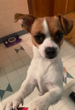 . Sasha .