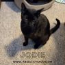 . Jodie .