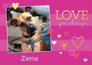 . Zena .