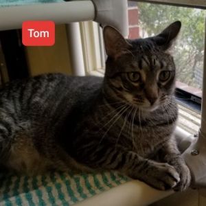 . Tom .