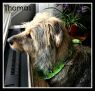 . Thomas II .