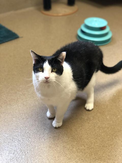 . Colby - bonded with Annie .