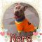 . Nore .