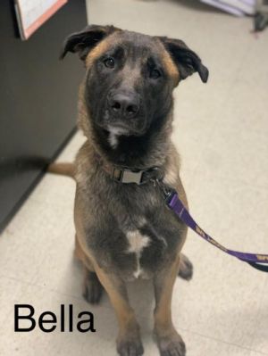 . Bella .