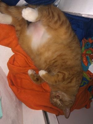 . Max .