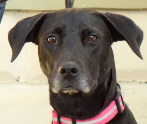 . Faith~ Swims. Kind. Lovebug! .