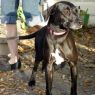 . Faith~ Swims. Kind. Lovebug! .