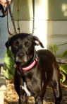 . Faith~ Swims. Kind. Lovebug! .