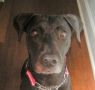 . Faith~ Swims. Kind. Lovebug! .