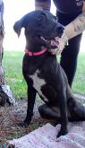 . Faith~ Swims. Kind. Lovebug! .