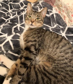 . Ella .