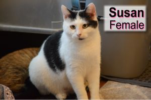. Susan .
