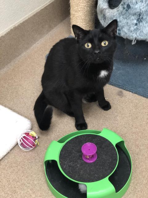 . Esau - update! adopted! .