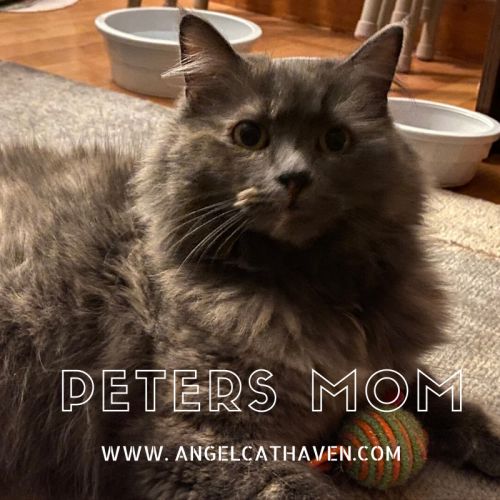 . Peters Mom .