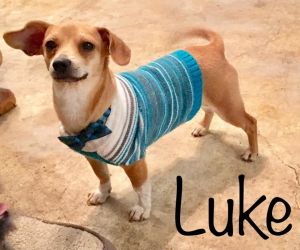 . Luke .