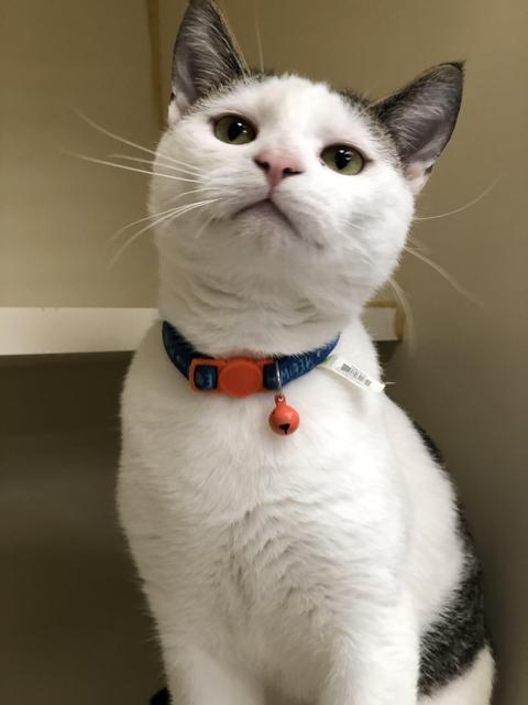 . Peter - update! adopted! .