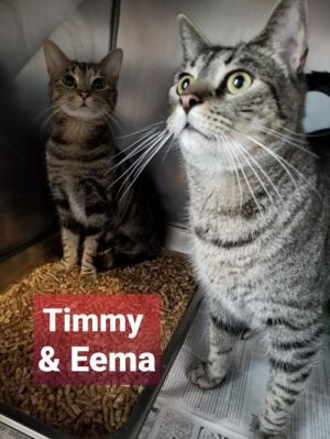 . Timmy &Eemma .