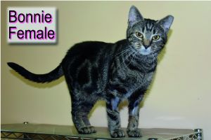 . Bonnie .