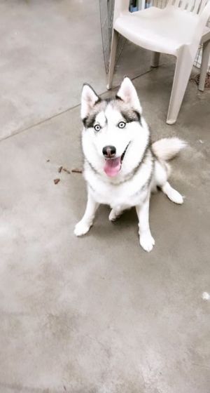 . Dakota .